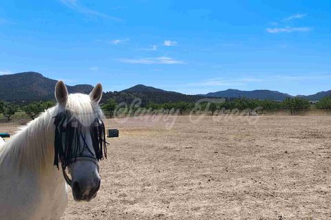 Landejendom i Yecla, Murcia, Yecla - € 219.000 | Ref: SF0531 - foto 2